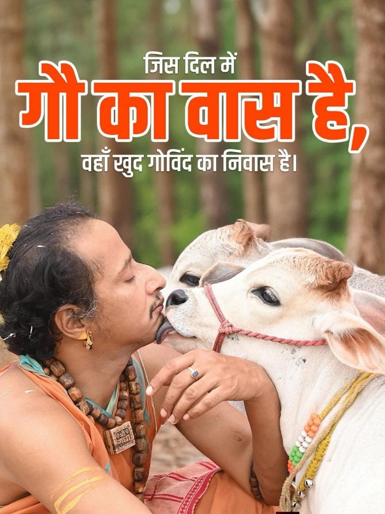 Devotional bond with gau mata