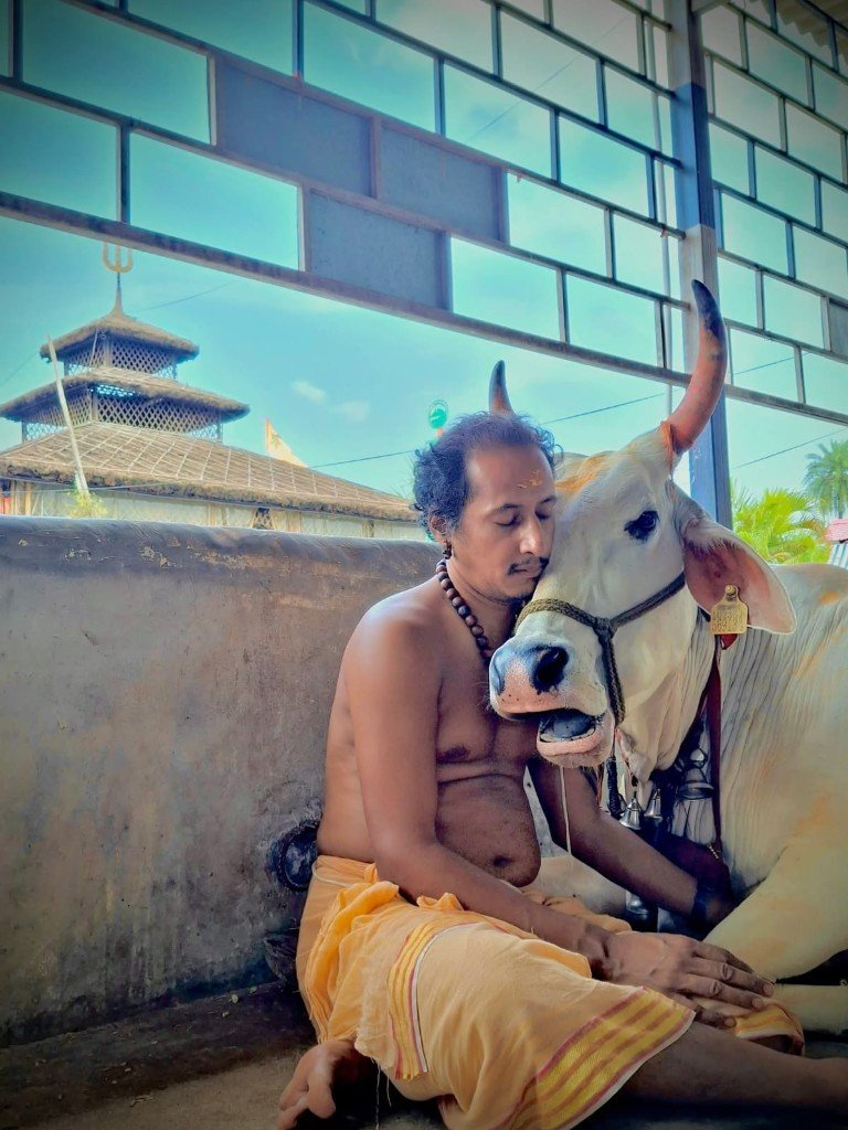 Peaceful moments with gau mata