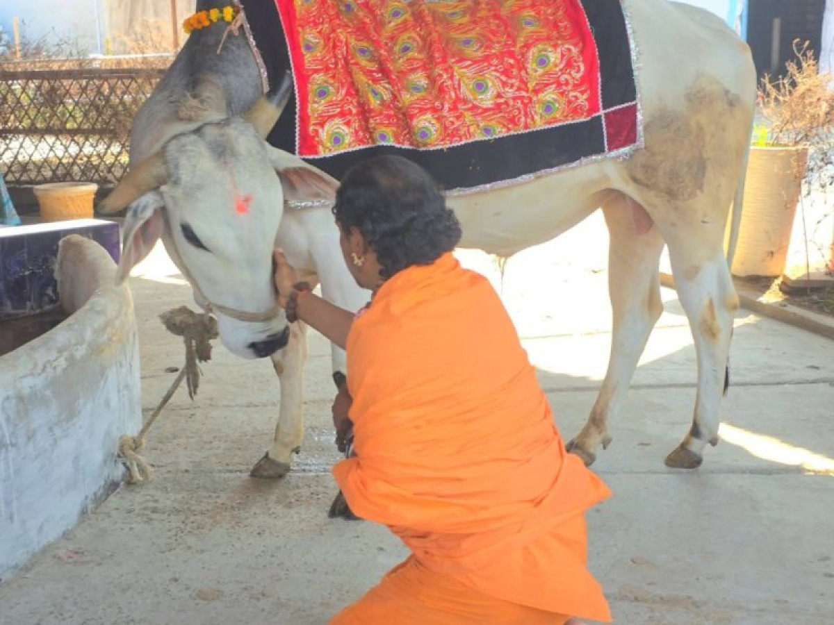Gou Seva