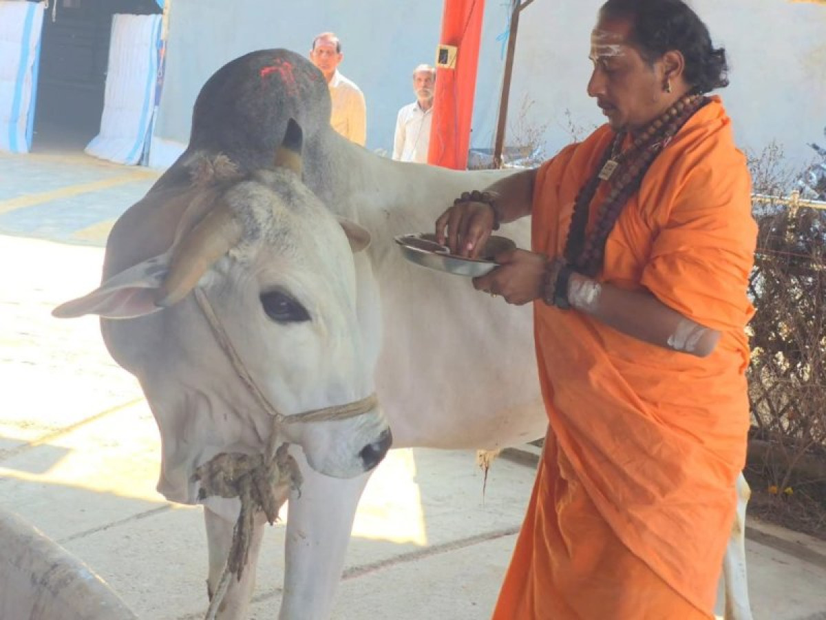 Gaushala Maintenance